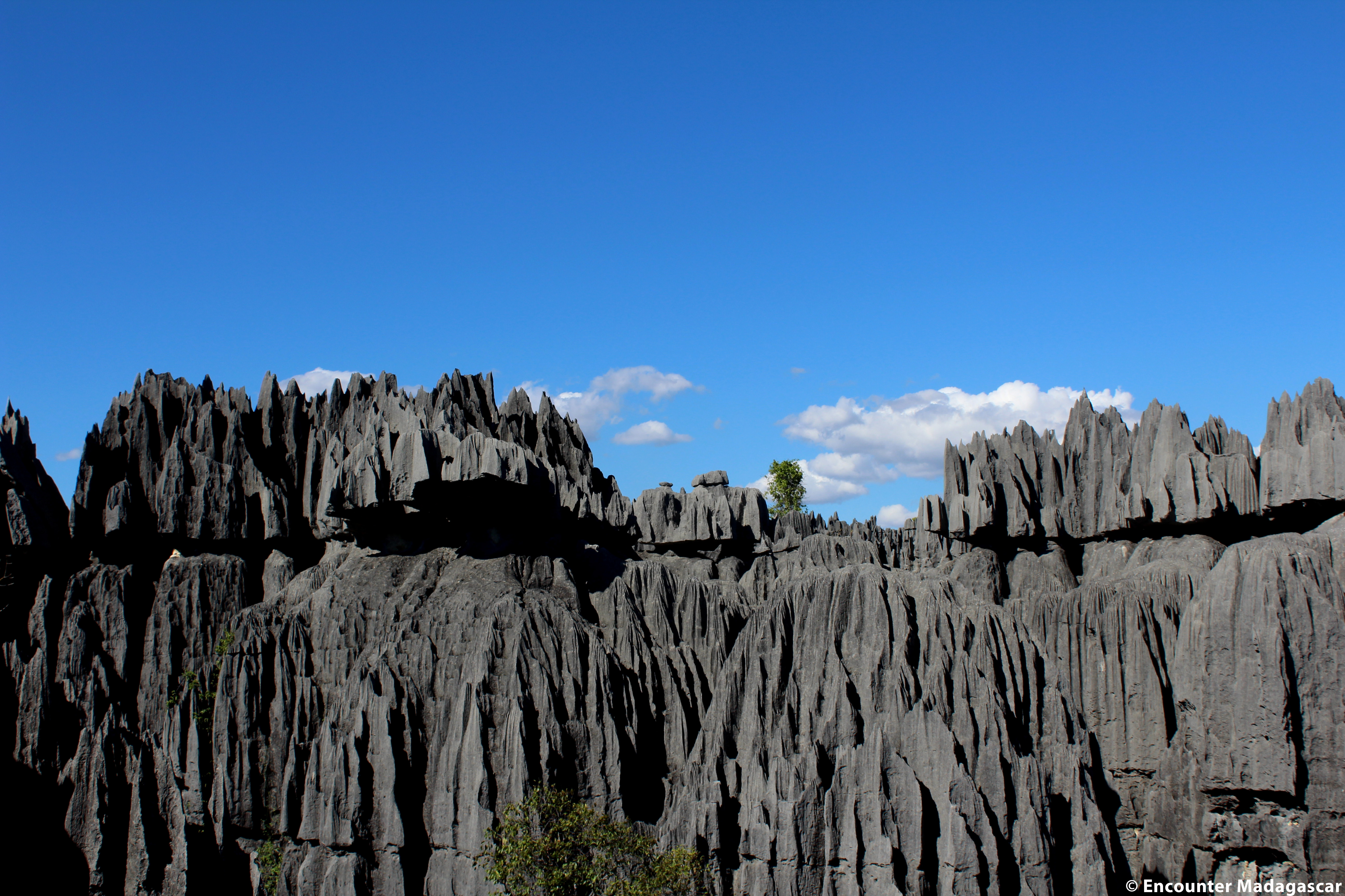 cathedral_tsingy_of-bemaraha_national-park_stone_forest_south_west_madagascar